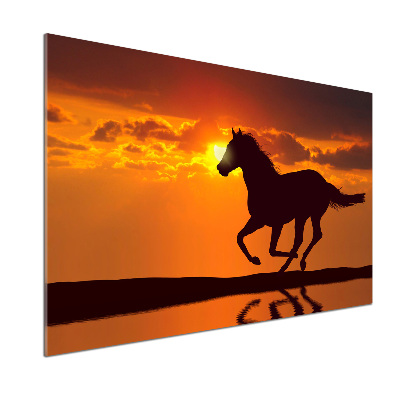 Panneau crédence cuisine Cheval au coucher du soleil