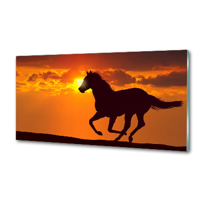 Panneau crédence cuisine Cheval au coucher du soleil