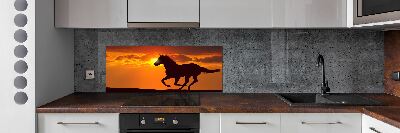 Panneau crédence cuisine Cheval au coucher du soleil