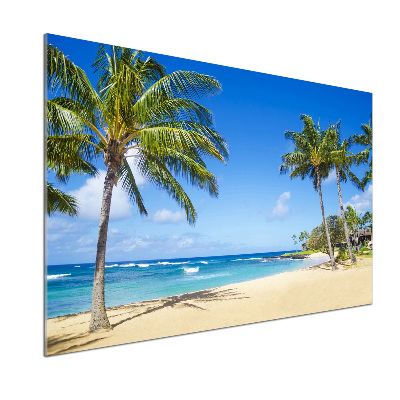 Panneau pour cuisine Plage tropicale