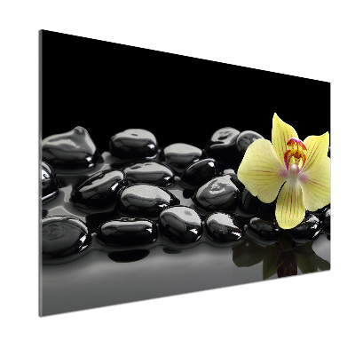 Crédence en verre cuisine Orchidée