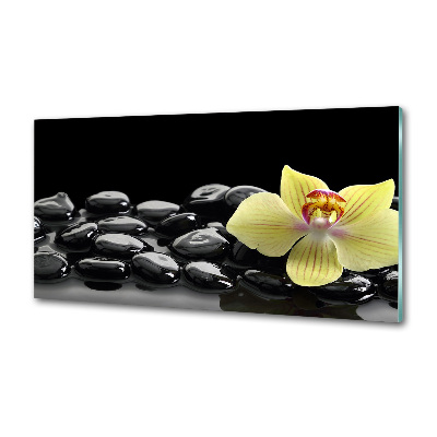 Crédence en verre cuisine Orchidée