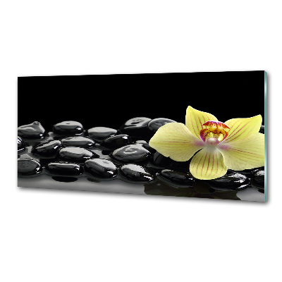 Crédence en verre cuisine Orchidée