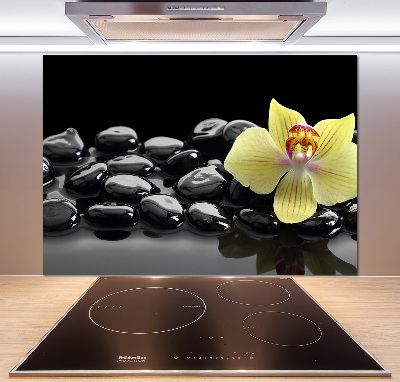 Crédence en verre cuisine Orchidée
