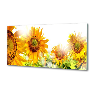Crédence cuisine en verre trempé Tournesol