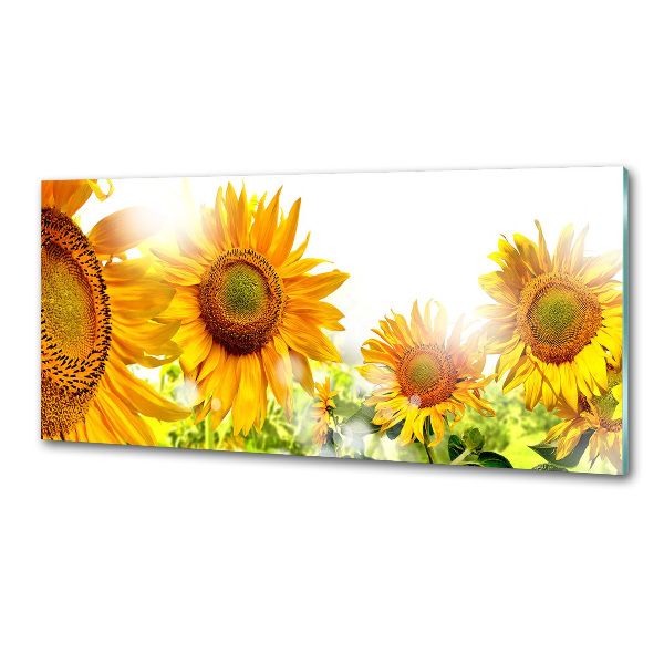 Crédence cuisine en verre trempé Tournesol