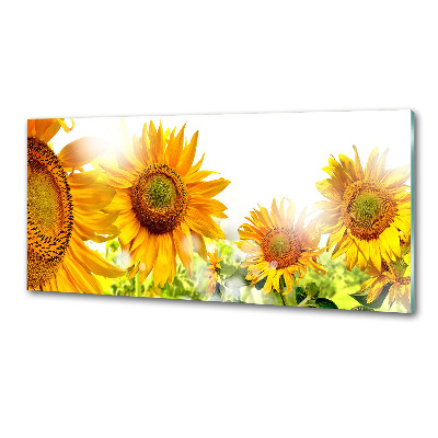 Crédence cuisine en verre trempé Tournesol