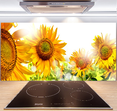 Crédence cuisine en verre trempé Tournesol