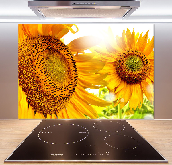 Crédence cuisine en verre trempé Tournesol