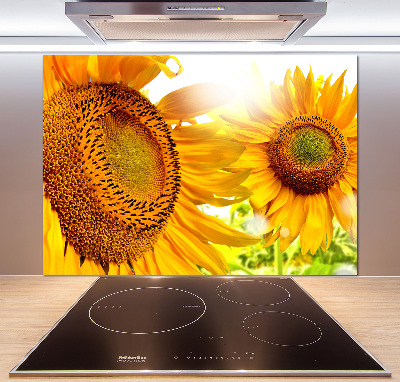 Crédence cuisine en verre trempé Tournesol