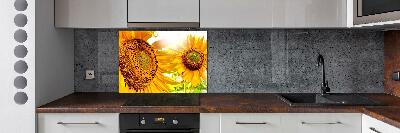 Crédence cuisine en verre trempé Tournesol