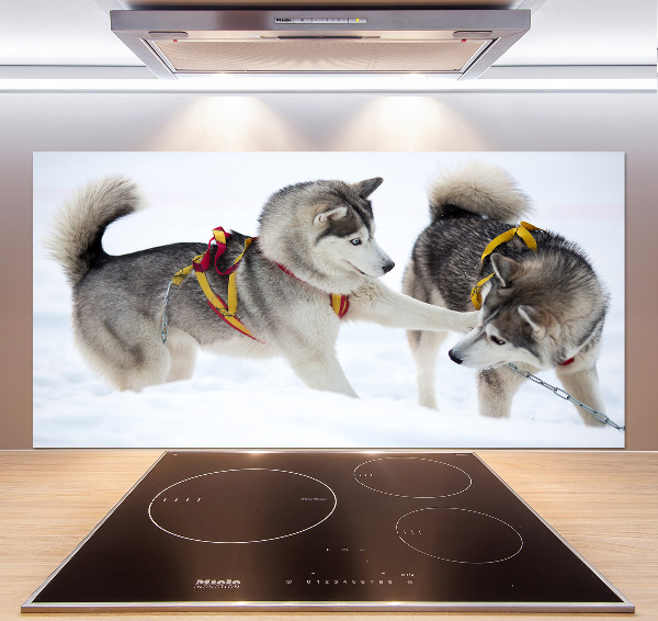 Crédence en verre cuisine Husky en hiver