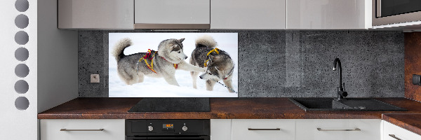 Crédence en verre cuisine Husky en hiver