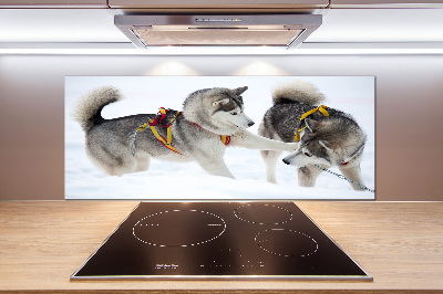 Crédence en verre cuisine Husky en hiver