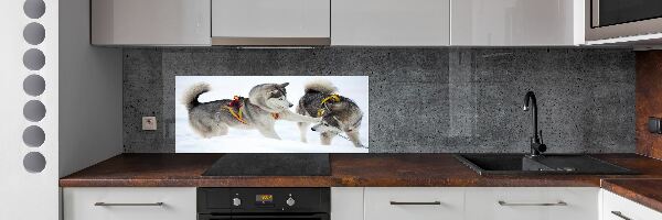 Crédence en verre cuisine Husky en hiver
