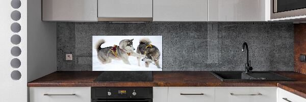 Crédence en verre cuisine Husky en hiver