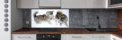 Crédence en verre cuisine Husky en hiver