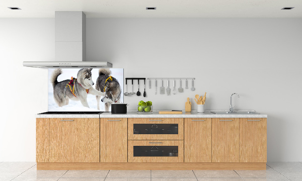 Crédence en verre cuisine Husky en hiver