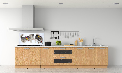Crédence en verre cuisine Husky en hiver