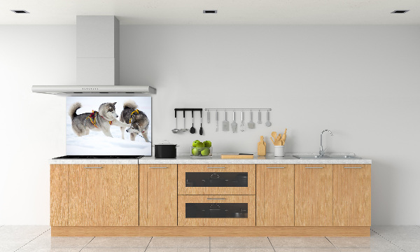 Crédence en verre cuisine Husky en hiver