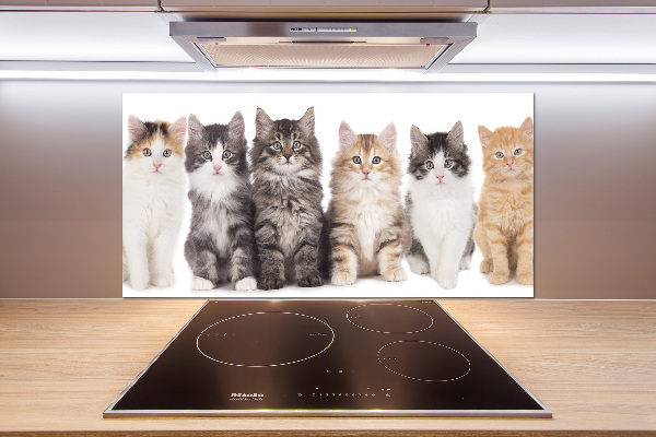 Crédence en verre Six chats