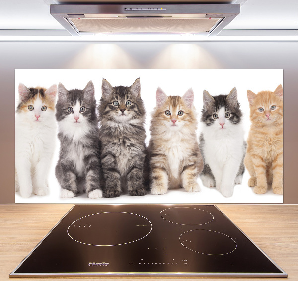 Crédence en verre Six chats