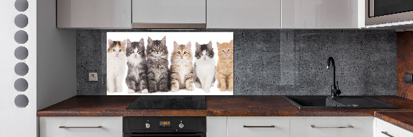 Crédence en verre Six chats
