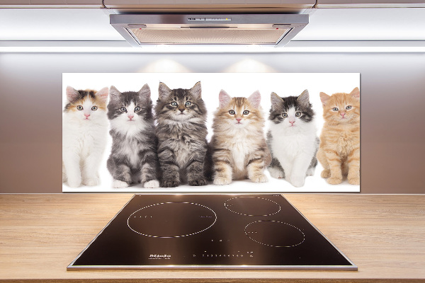 Crédence en verre Six chats