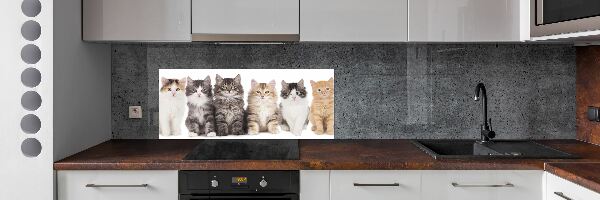 Crédence en verre Six chats