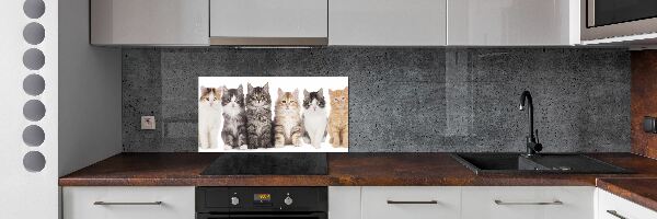 Crédence en verre Six chats