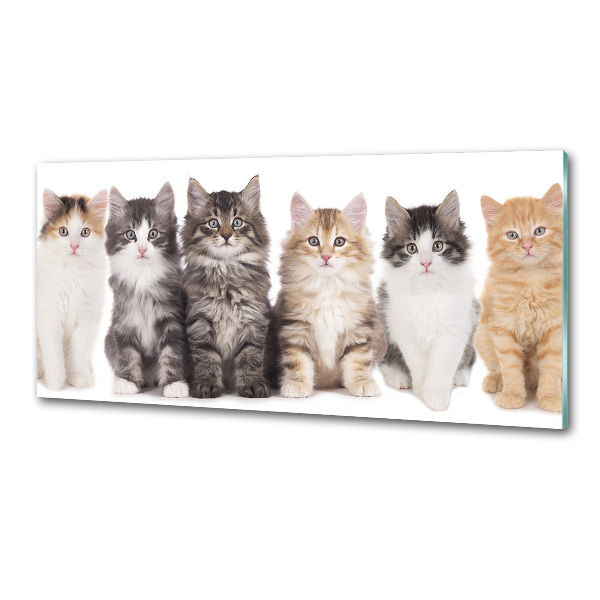 Crédence en verre Six chats