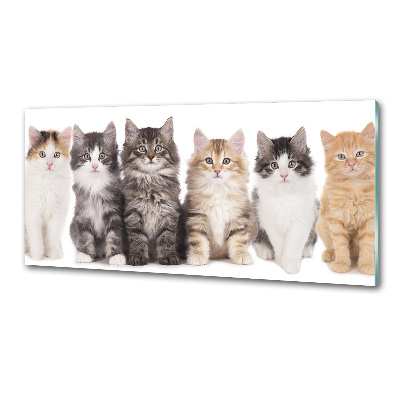 Crédence en verre Six chats