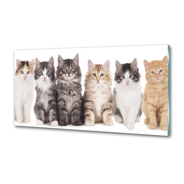 Crédence en verre Six chats