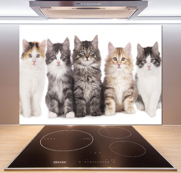 Crédence en verre Six chats