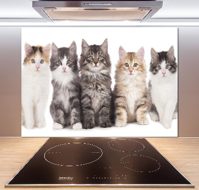 Crédence en verre Six chats