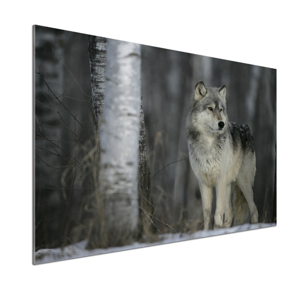 Verre pour crédence Loup gris