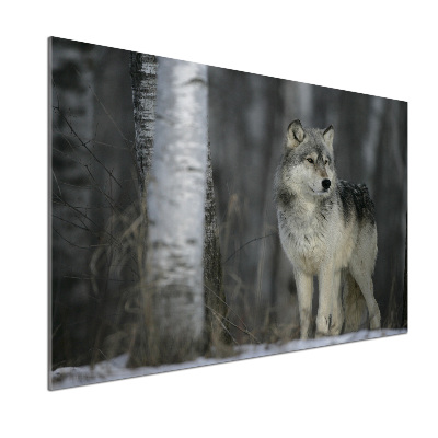 Verre pour crédence Loup gris