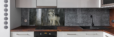 Verre pour crédence Loup gris
