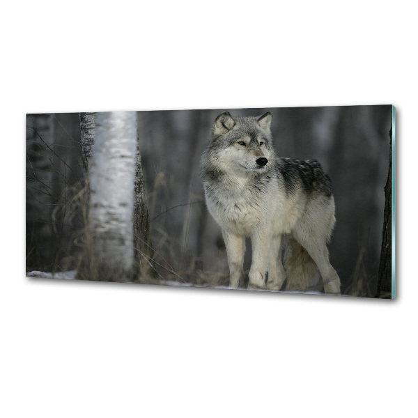 Verre pour crédence Loup gris