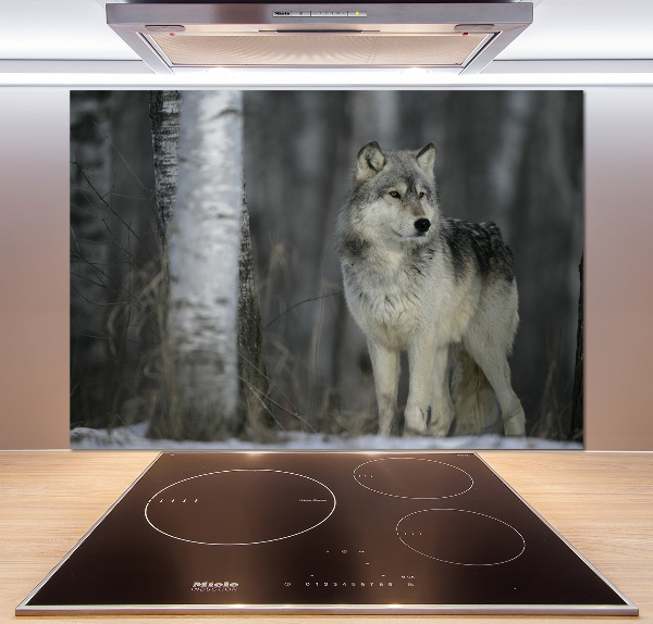 Verre pour crédence Loup gris