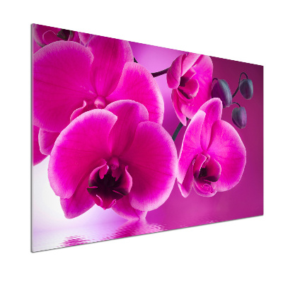 Crédence en verre trempé Fleur d'orchidée