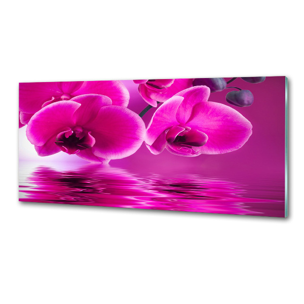 Crédence en verre trempé Fleur d'orchidée