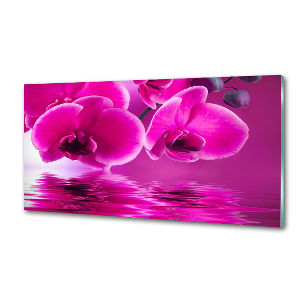 Crédence en verre trempé Fleur d'orchidée