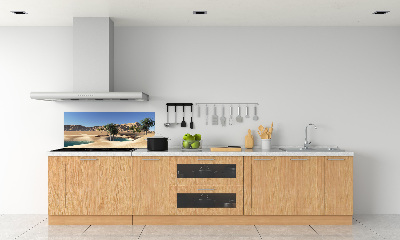 Crédence cuisine en verre trempé Oasis