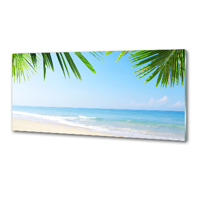 Crédence en verre cuisine Plage tropicale
