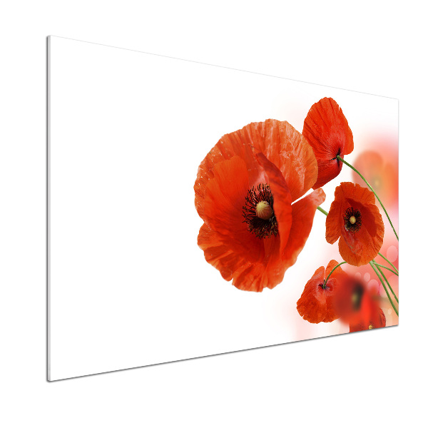 Panneau pour cuisine Coquelicots rouges