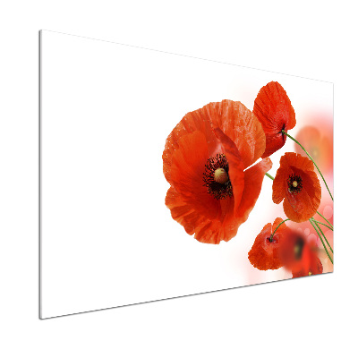 Panneau pour cuisine Coquelicots rouges