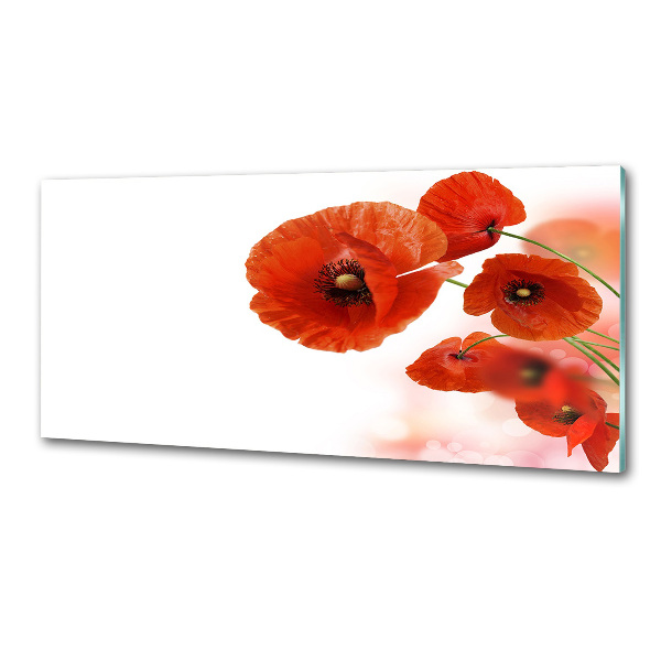 Panneau pour cuisine Coquelicots rouges