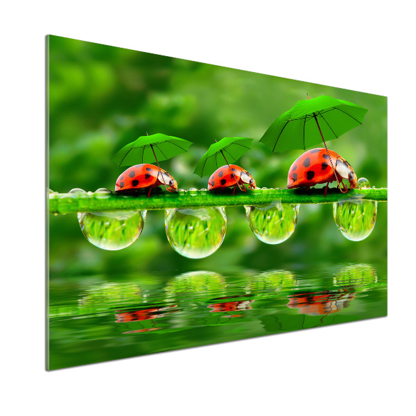 Crédence en verre trempé Coccinelles parapluies