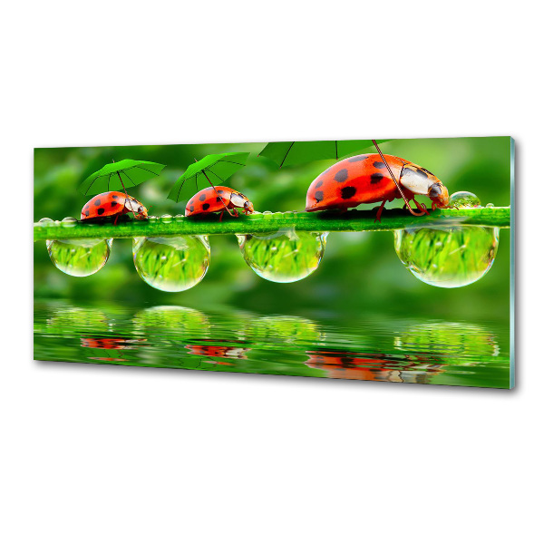 Crédence en verre trempé Coccinelles parapluies